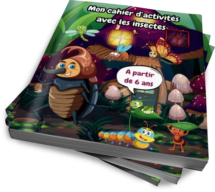 Cahier d'activités avec les insectes