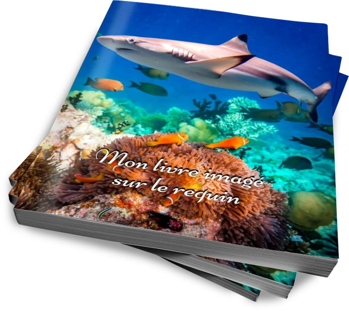 Livre imagé sur le requin