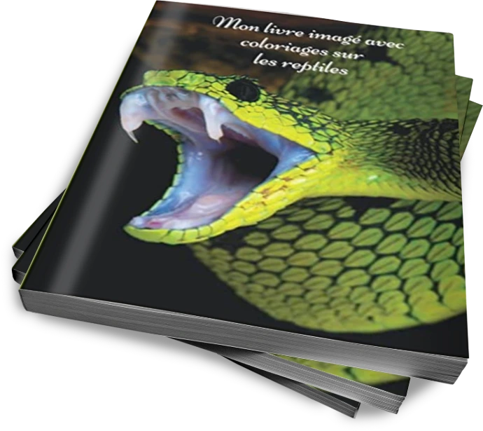 Livre imagé avec coloriages sur les reptiles