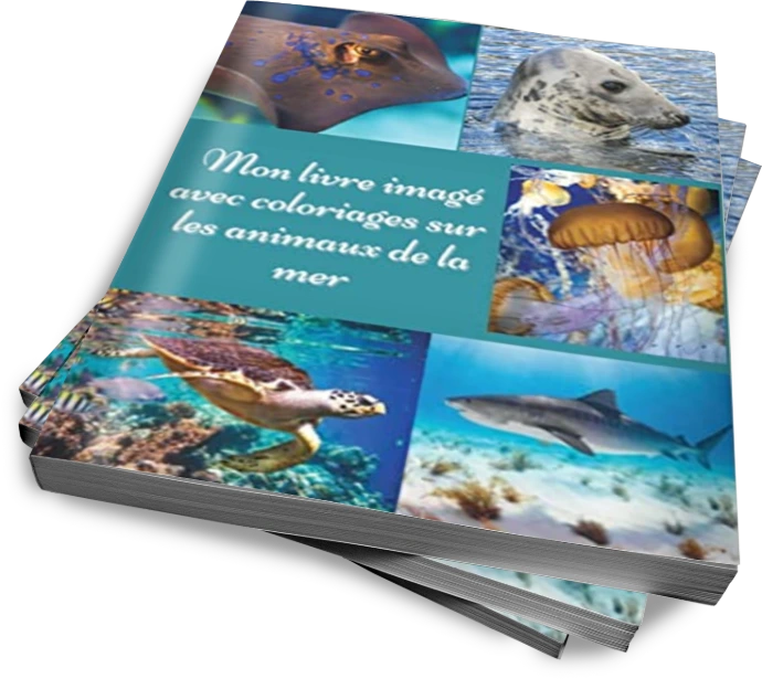 Livre imagé avec coloriages sur les animaux de la mer