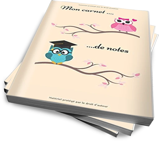 Carnet de notes lignés hibou chouette